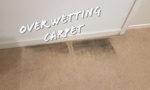 cleaning your carpets yourself