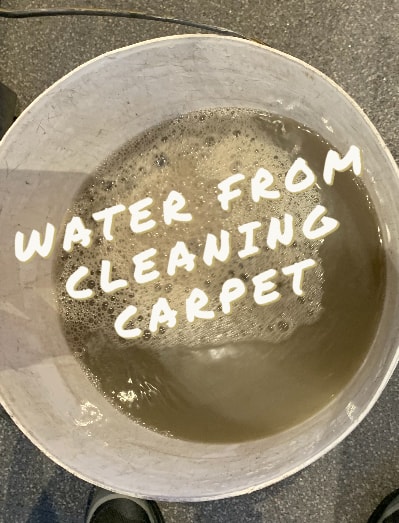 why is carpet cleaning important
