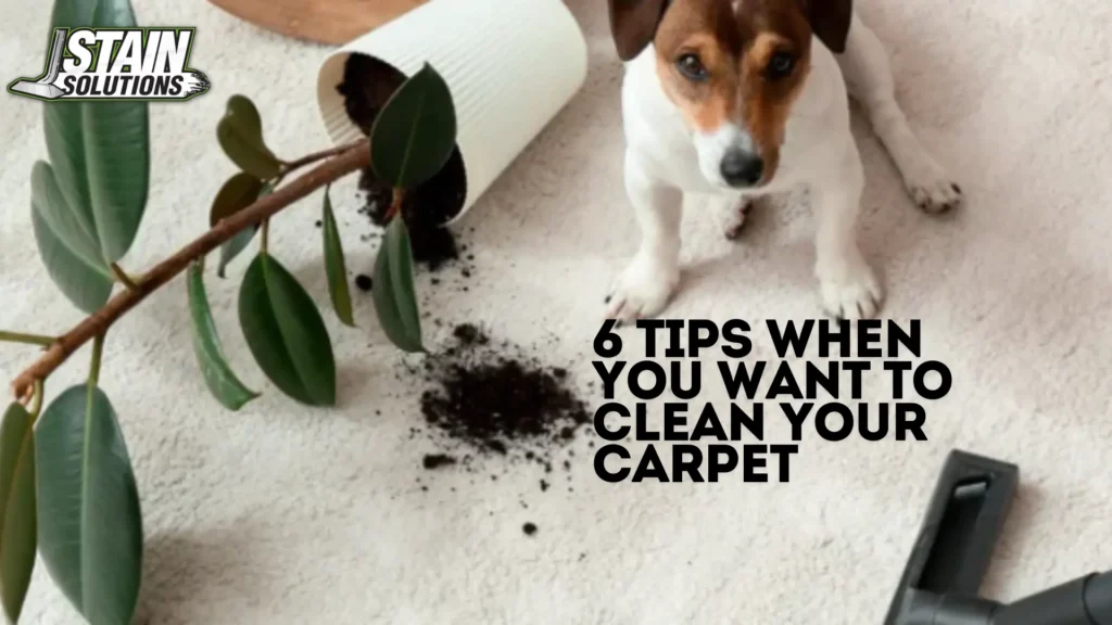 Carpet Cleaning Gold Coast