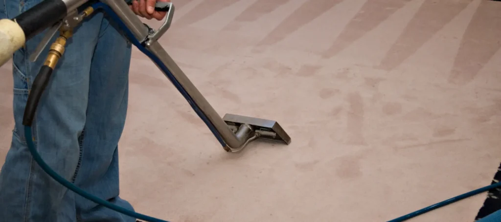 Are Professional Gold Coast Carpet Cleaners Better Than Doing It Yourself? 1 Are Professional Gold Coast Carpet Cleaners Better Than Doing It Yourself