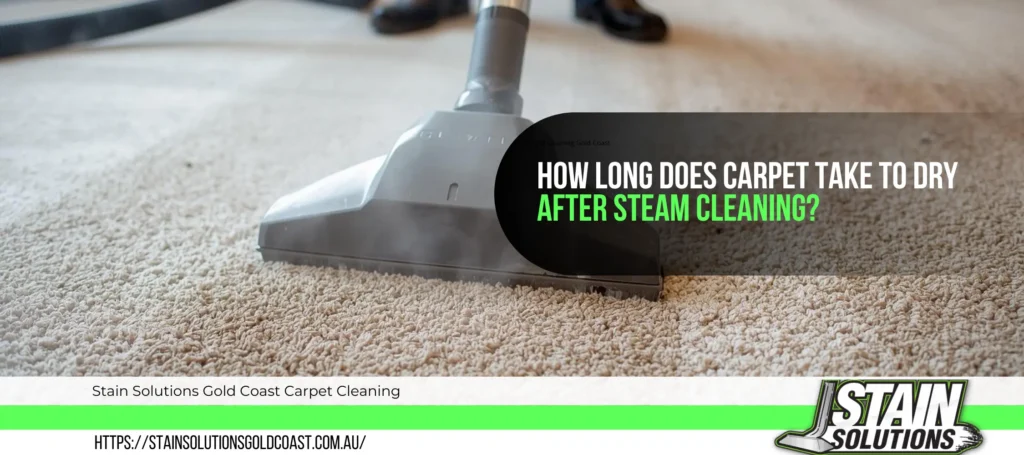 How long does carpet take to dry after steam cleaning? 3 Hot Water Extraction carpet cleaning