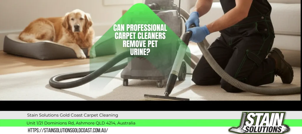 Can Professional Carpet Cleaning Remove Pet Urine? 2 remove pet urine