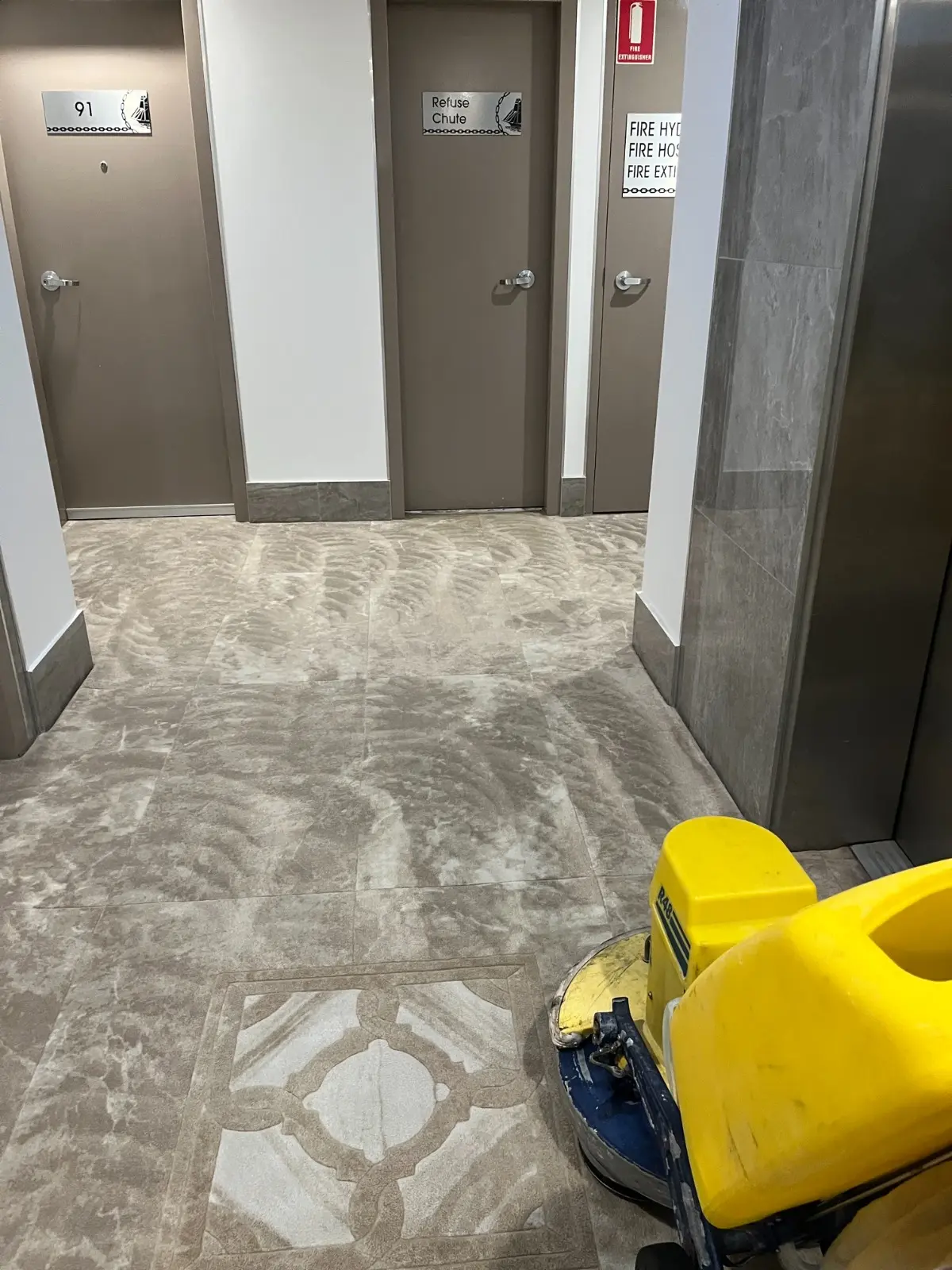 Professional dry carpet cleaning for a high-traffic commercial area on the Gold Coast